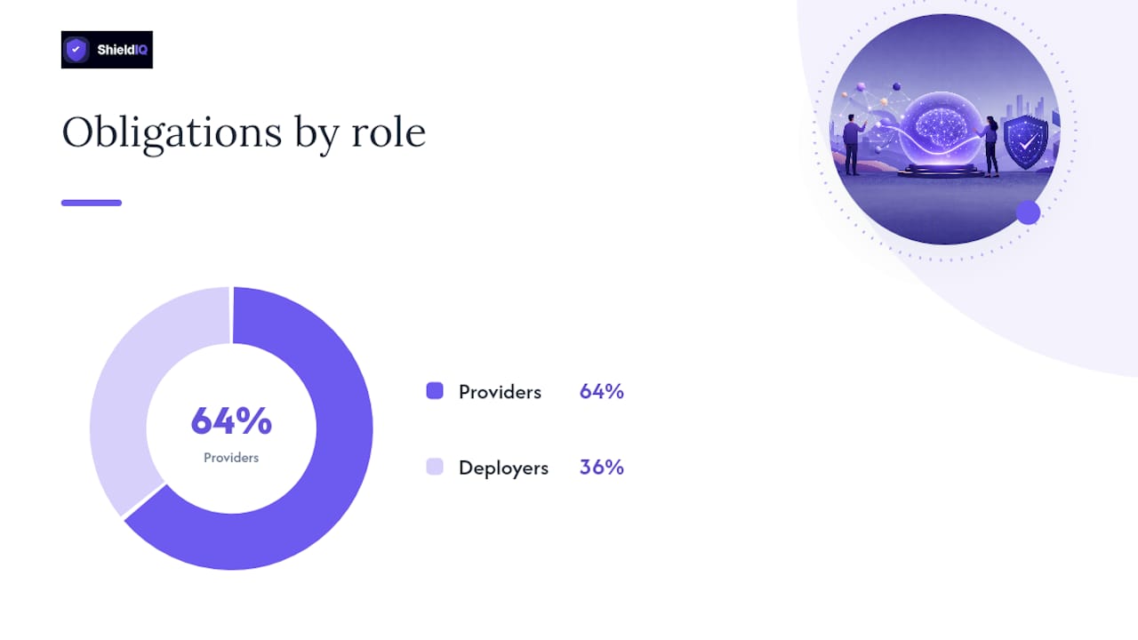 What do providers and deployers have to actually deliver? — overview diagram
