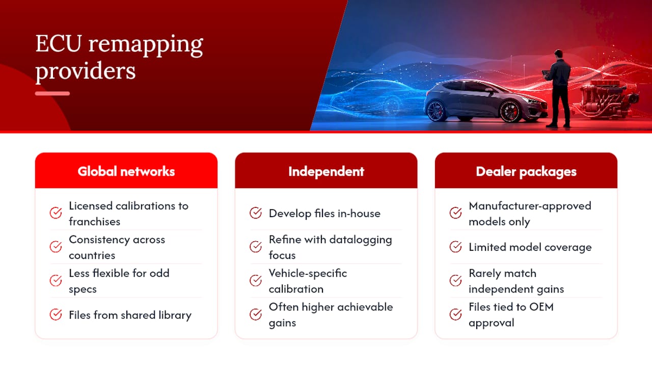 Which brands and providers dominate ECU remapping? — overview diagram