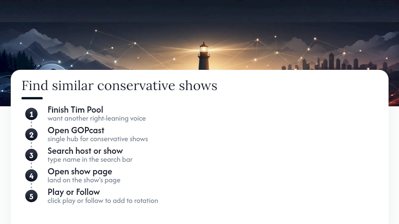 Looking for More Conservative Commentary Beyond Tim Pool? — overview diagram