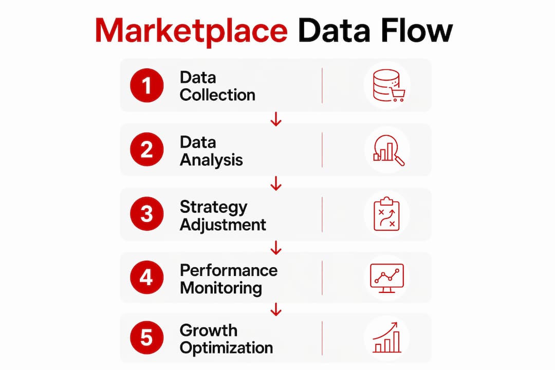 Infographic displaying marketplace data process steps