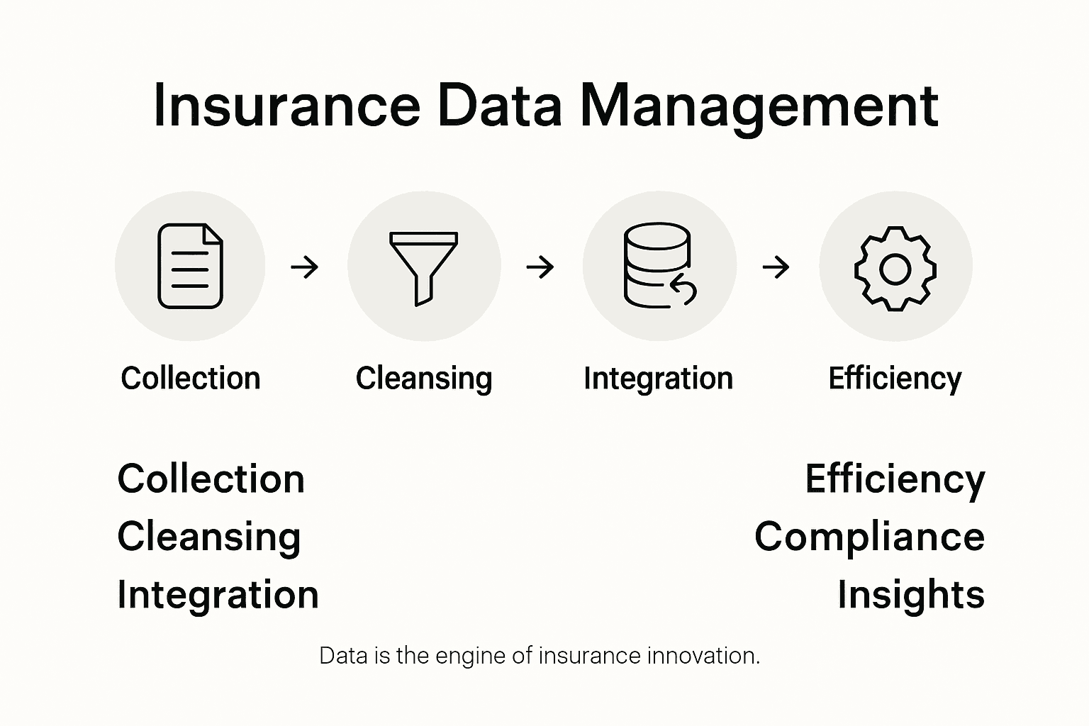 Infographic of insurance data management process