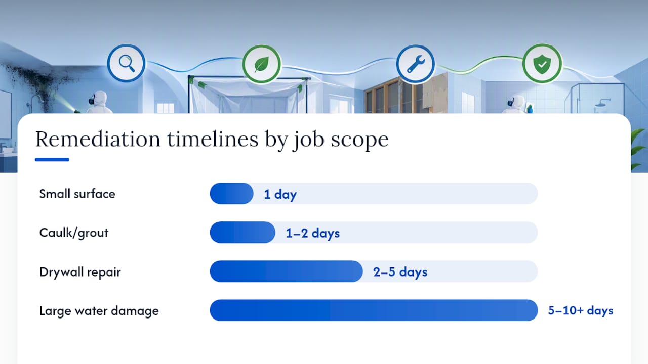 Timeline and cost comparison of bathroom mold remediation types