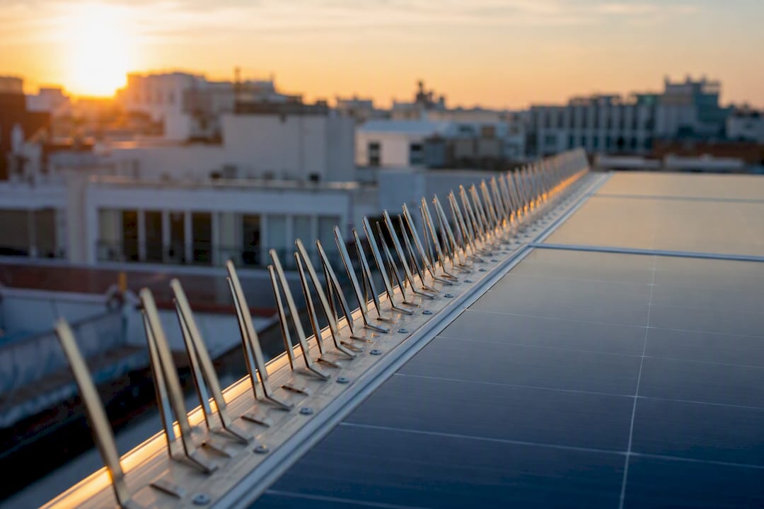 Perch spikes installed on solar panel edge