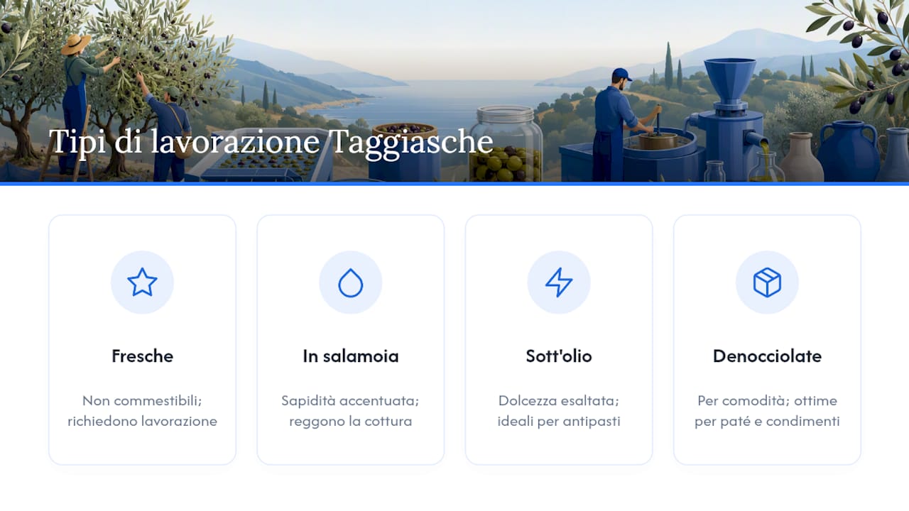 Confronto tra diverse lavorazioni delle olive Taggiasche