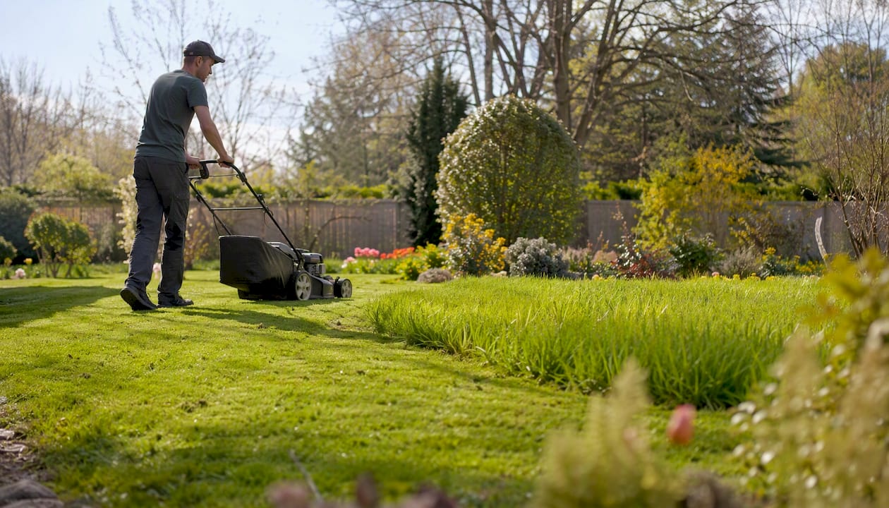 Gros plan sur l’herbe fraîchement tondue qui annonce le retour du printemps.