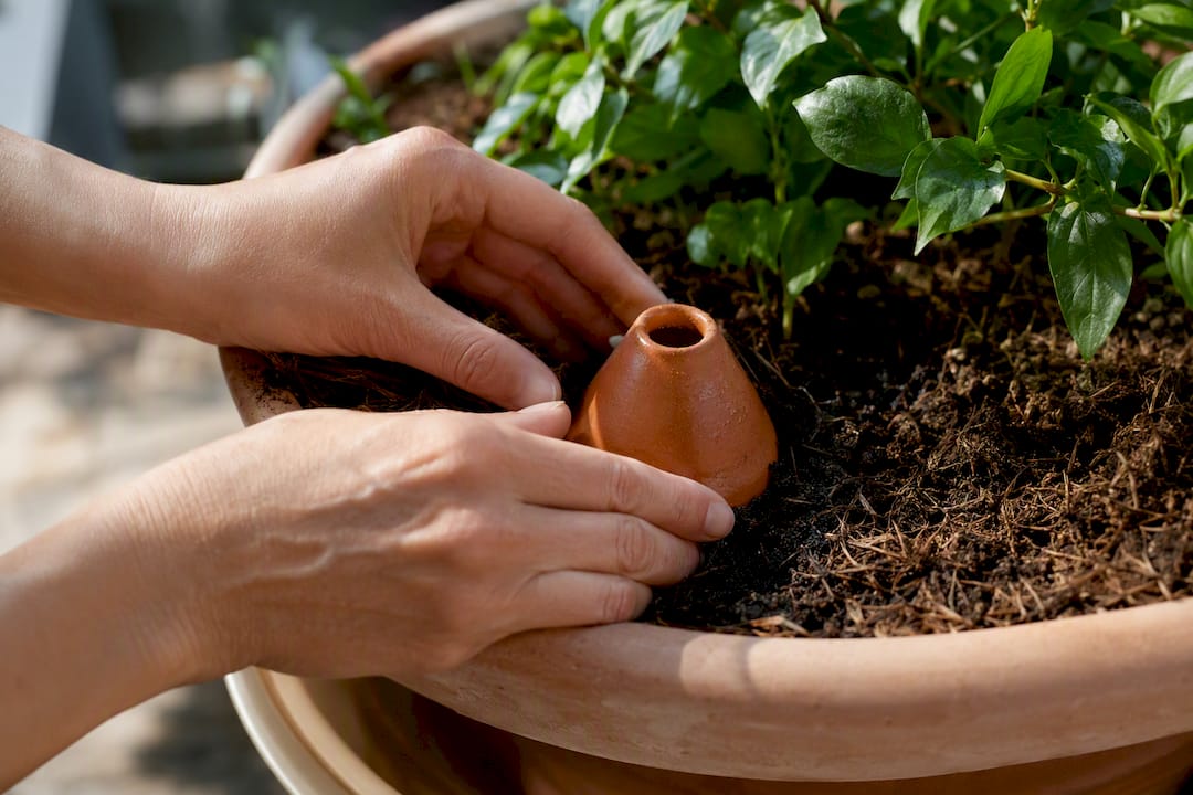Installation partielle d'une oya dans une jardinière
