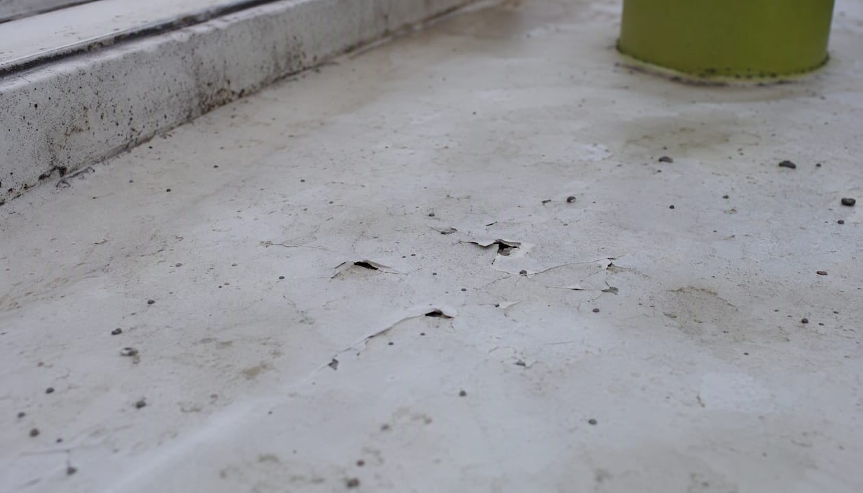 Close-up of hail damage on TPO flat roof