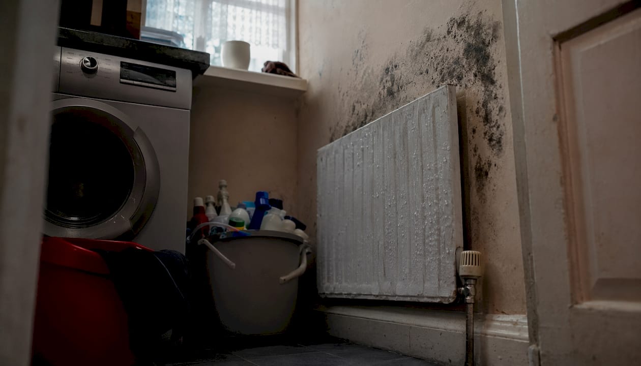 Utility room damp corner with mould growth