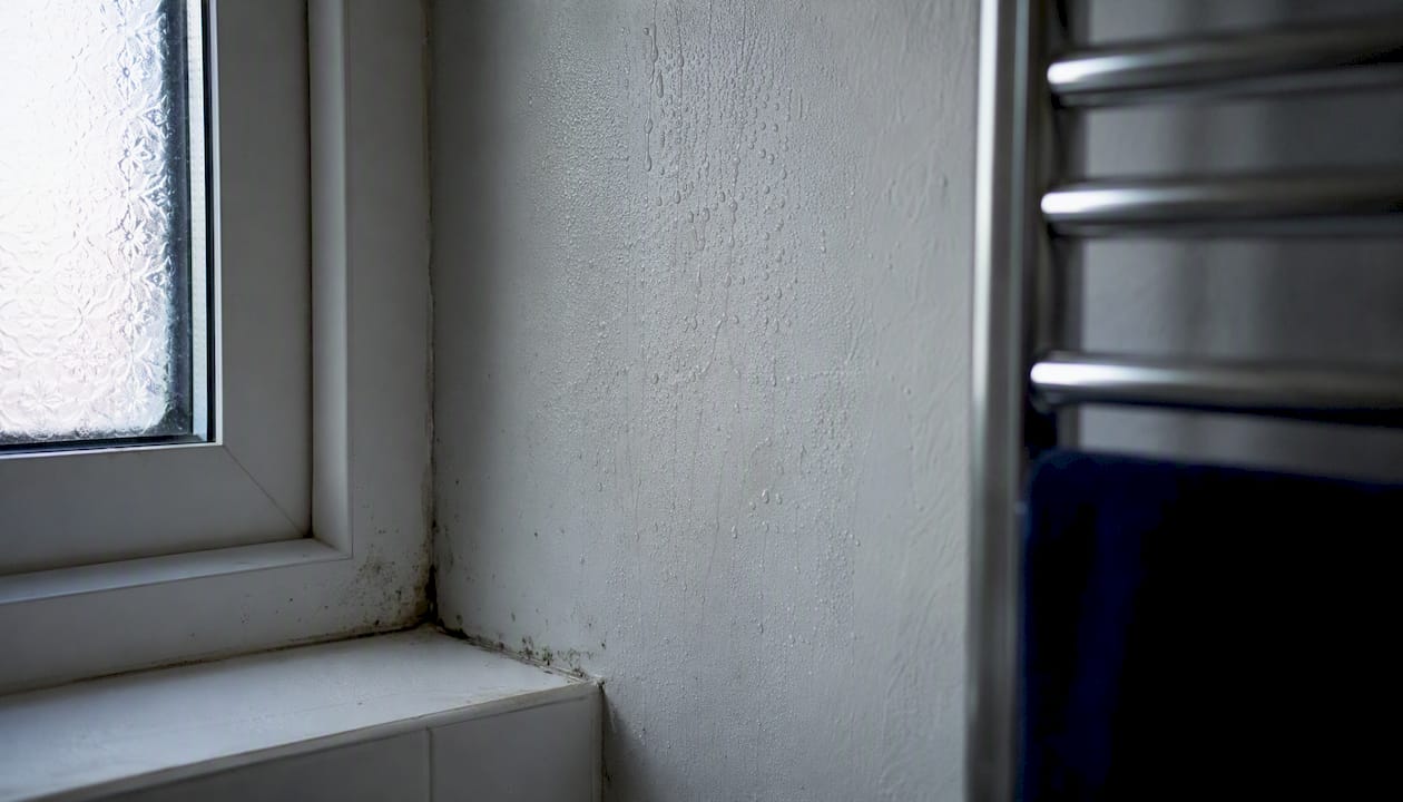 Condensation droplets on interior wall corner