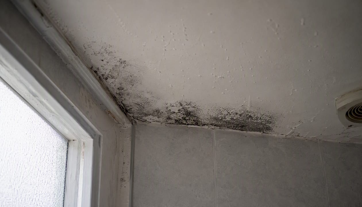 Bathroom ceiling with black mould patches