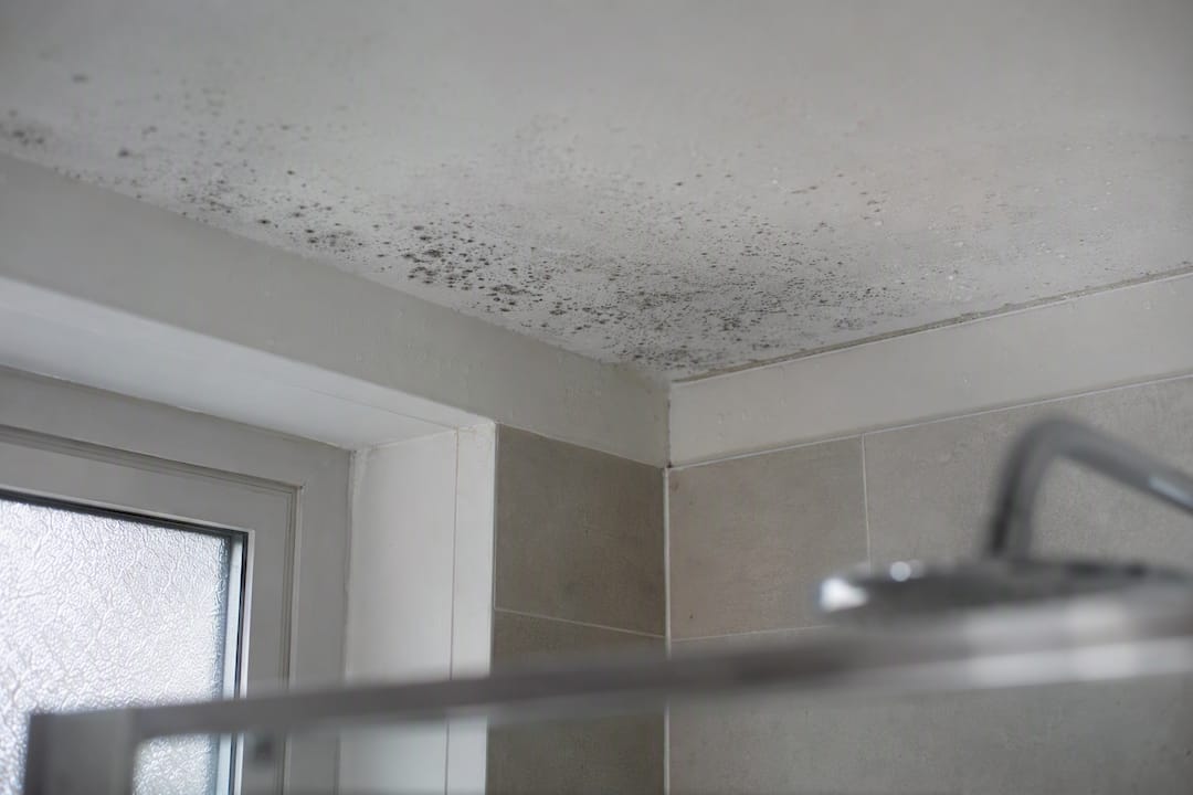 Condensation mould on bathroom ceiling corner