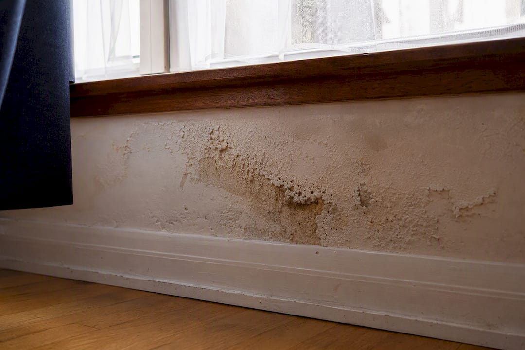Damp under a bay window: causes, checks and fixes