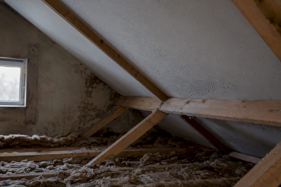 Flat roof condensation: causes, signs and fixes