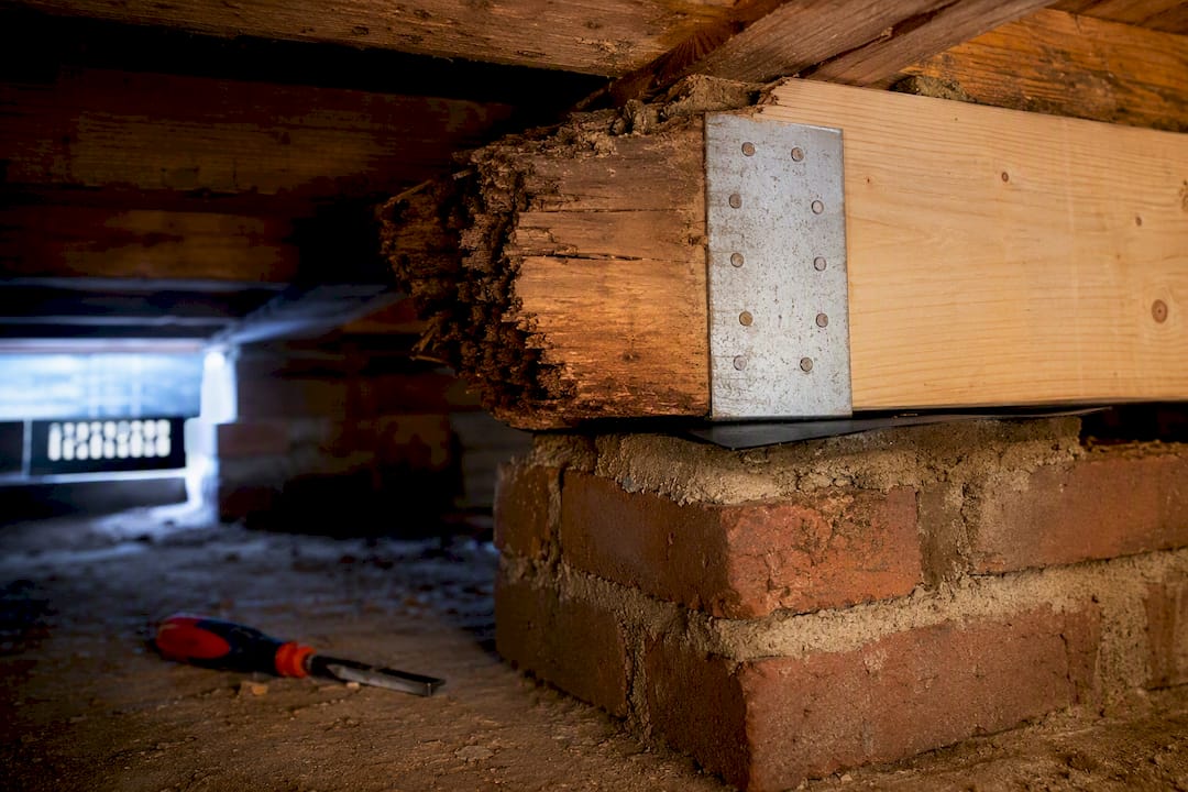Repaired floor joist bearing on masonry