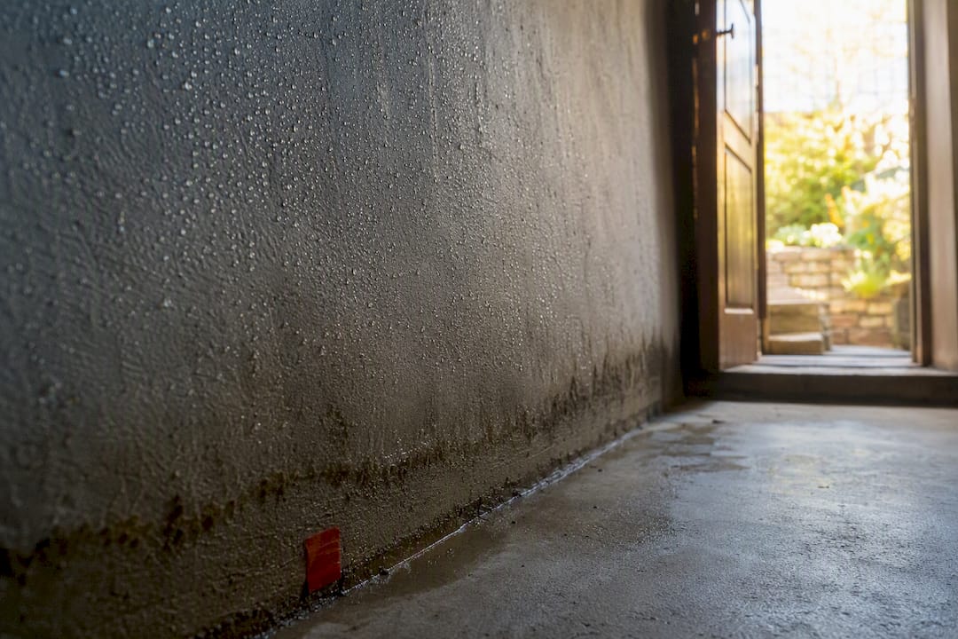 Summer condensation beading on cool basement wall
