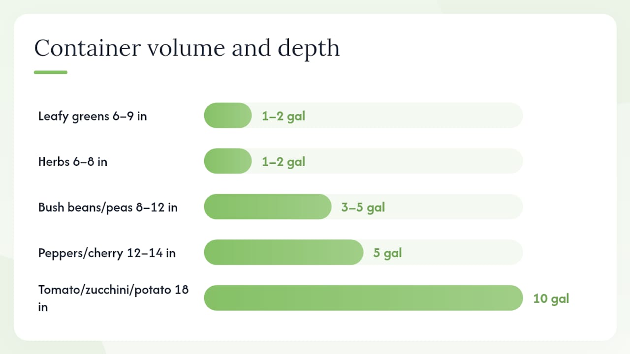 Container size and soil depth requirements chart