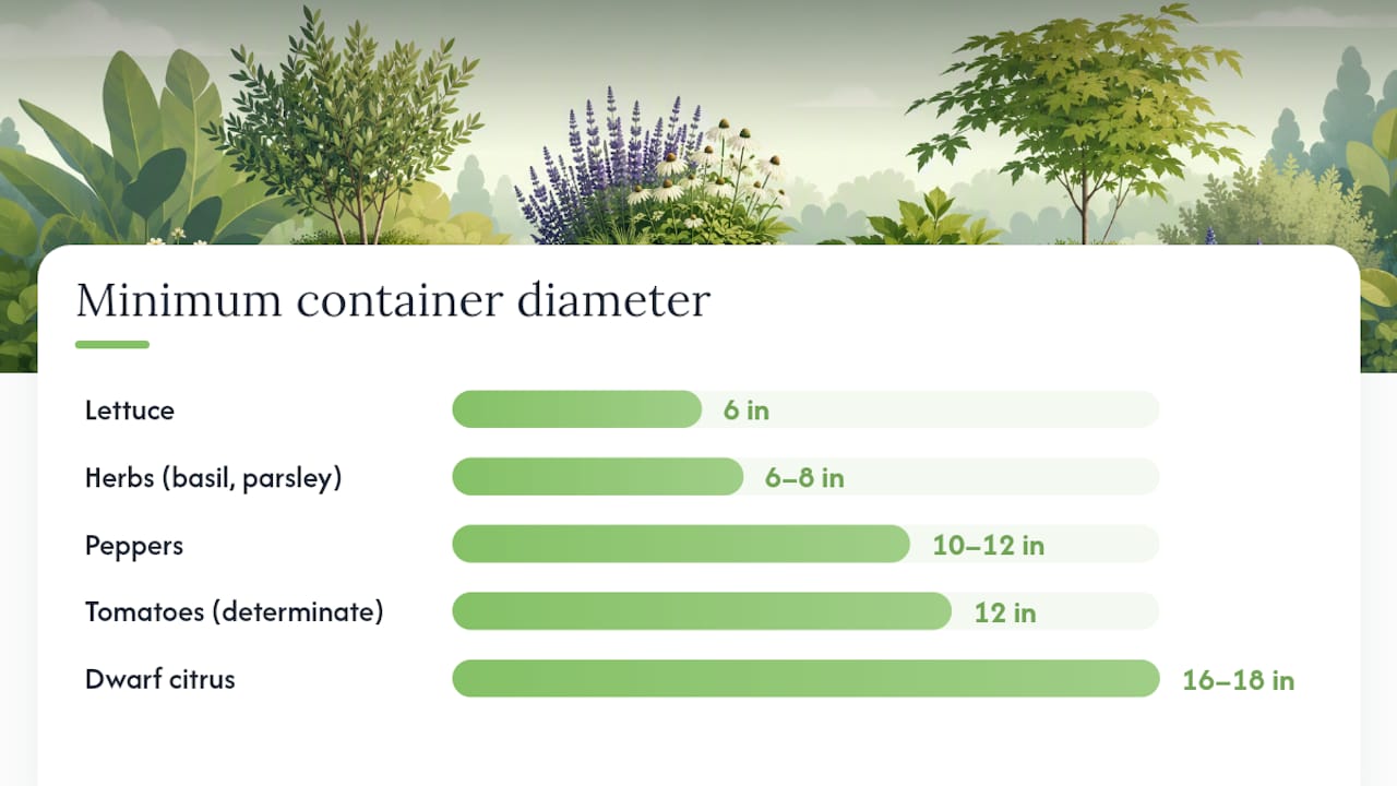 Container size requirements for common vegetables
