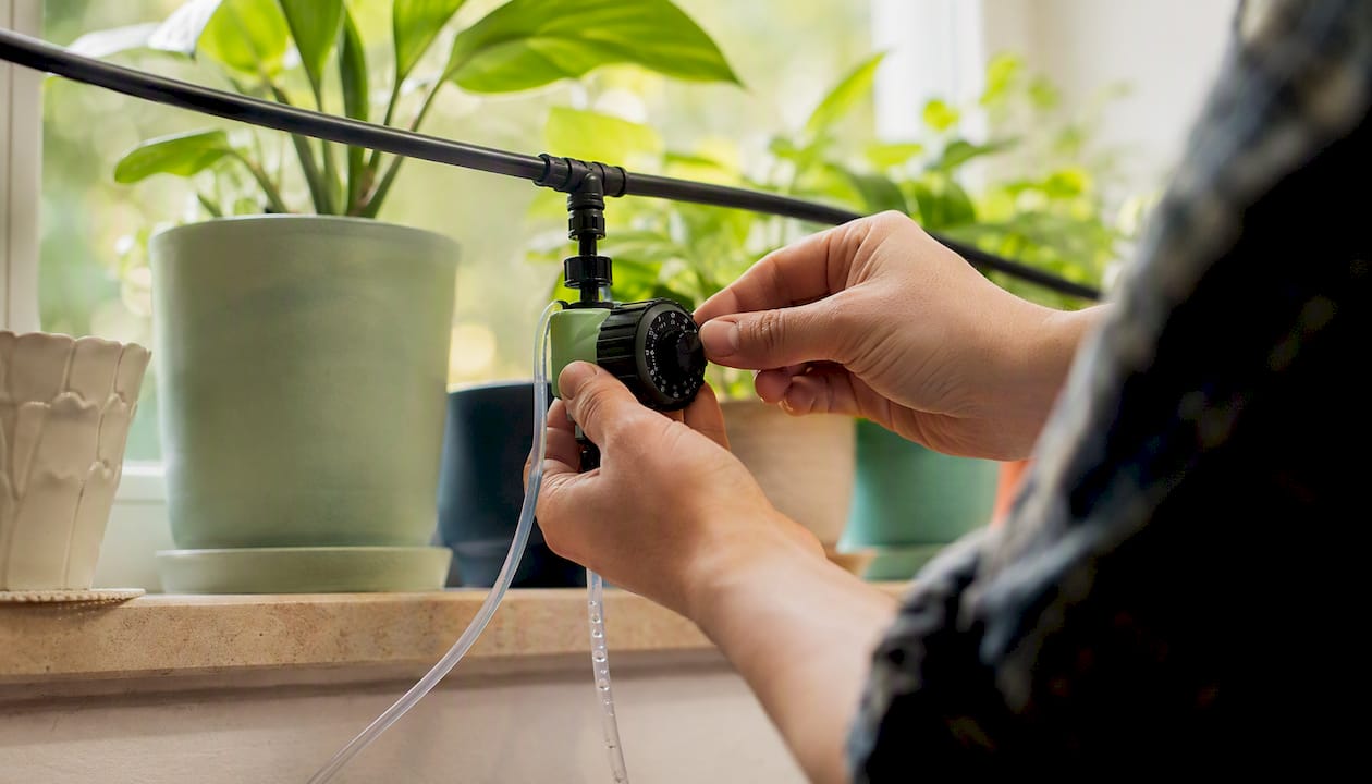 Hands adjusting drip timer by plant pots