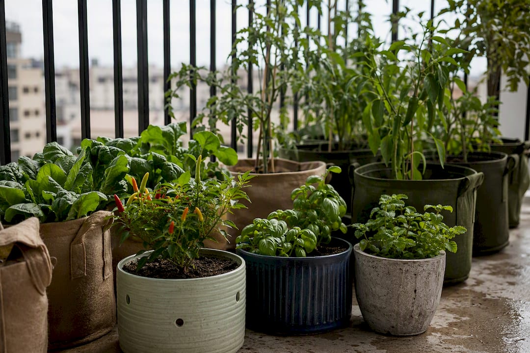 Various fabric, plastic, and ceramic containers with vegetables
