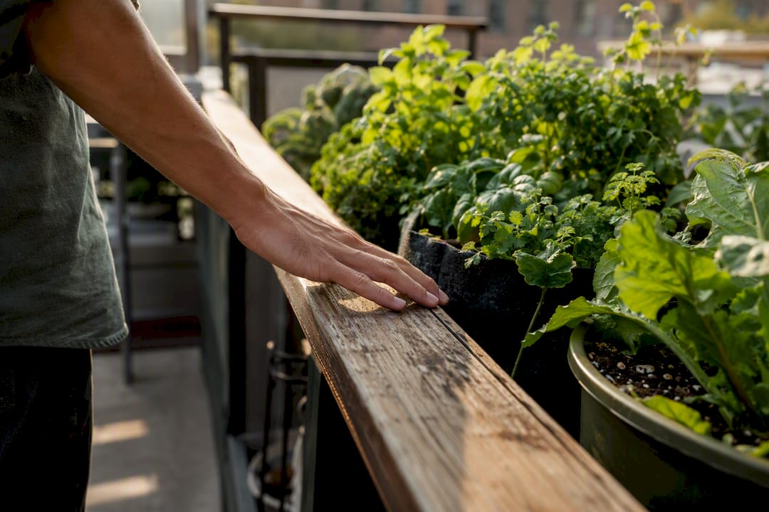 Hand feeling warm sunny brick wall corner on balcony near plants
