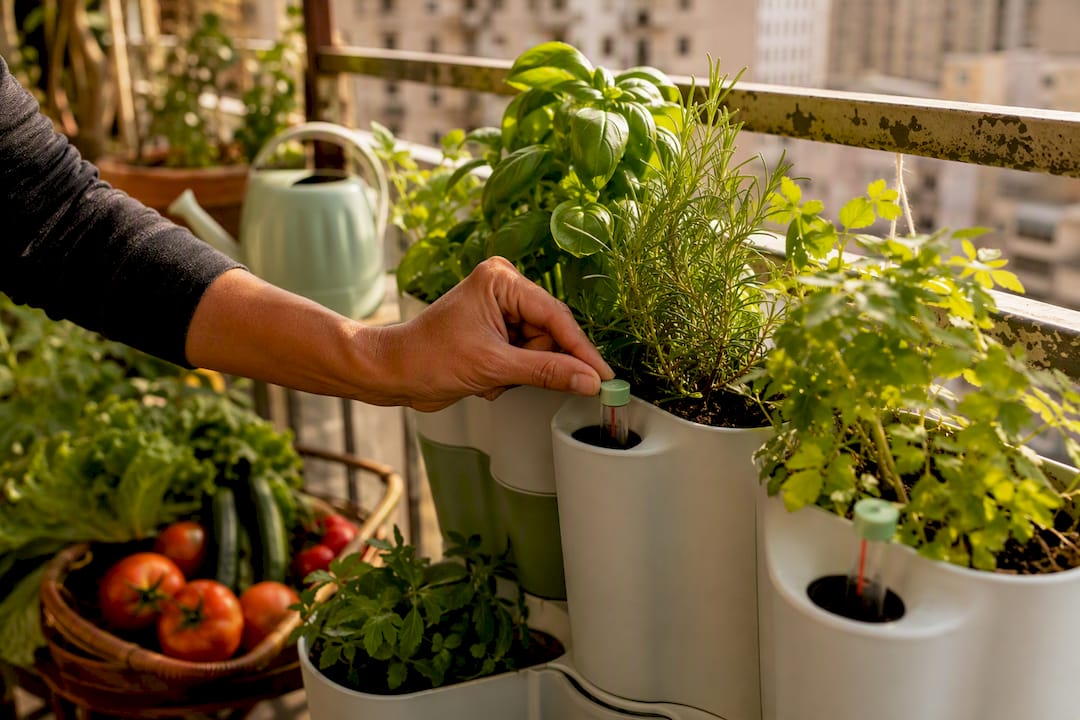 Hand adjusting water indicator on connected planters