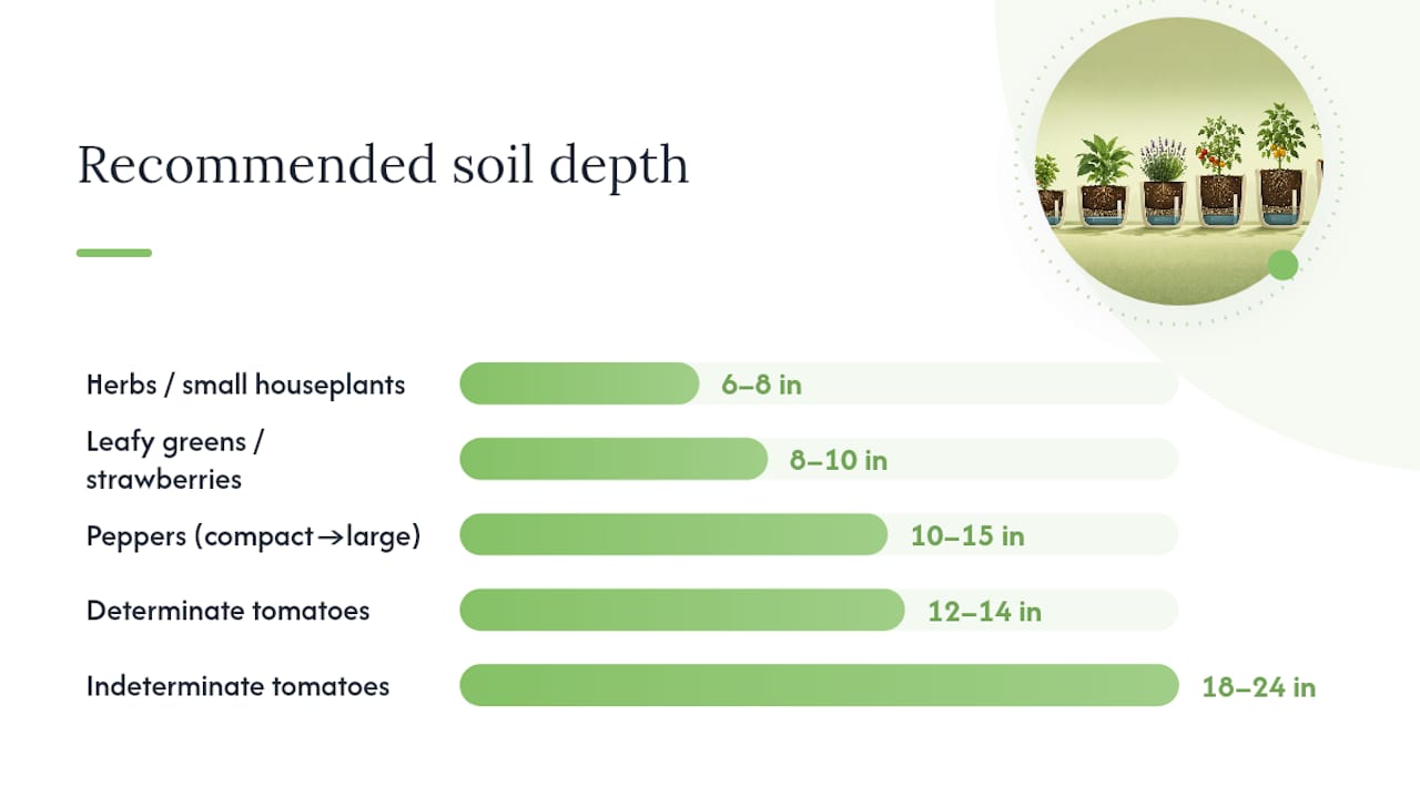 Diagram of planter size needs by plant type