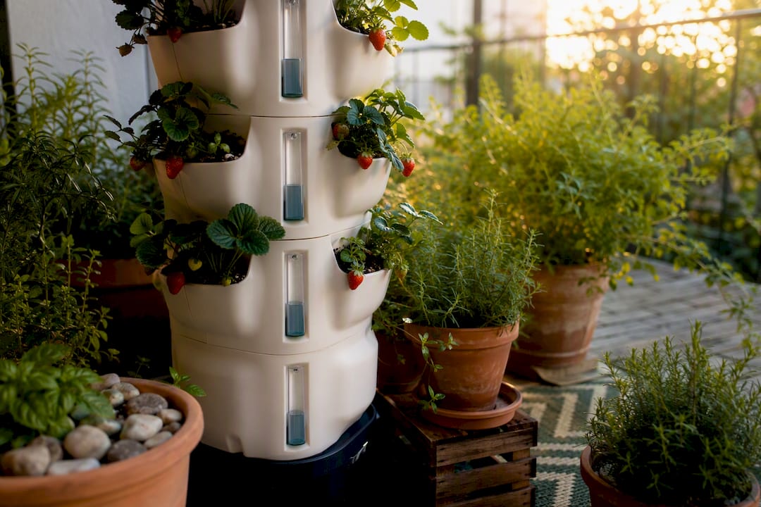 Side view of stacked self-watering strawberry containers