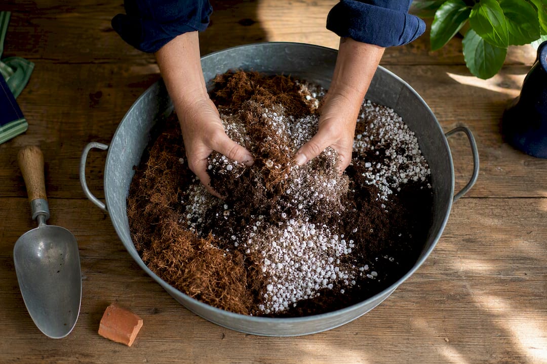 Hands mixing airy soilless potting mix