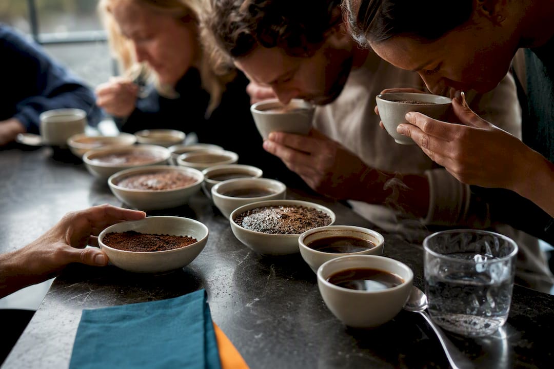 Guests smelling coffee through tasting stages