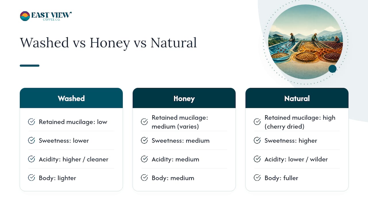 Comparison of washed honey and natural coffee processes