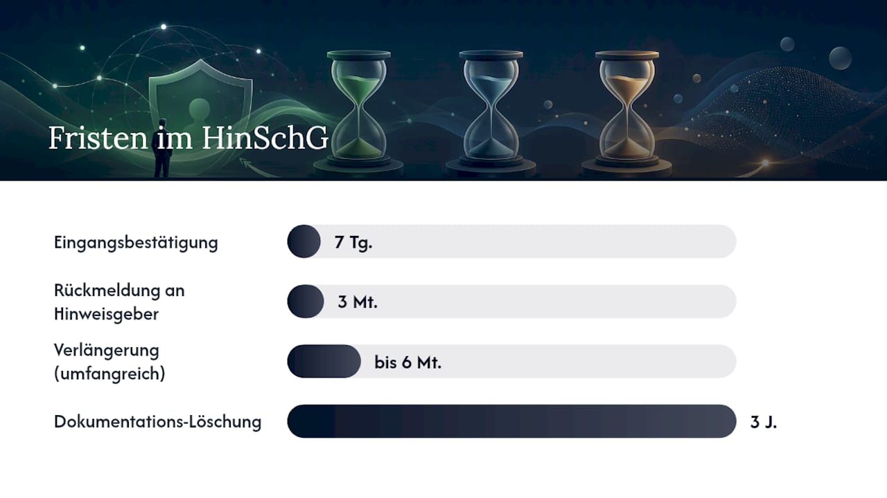Gesetzliche Grundlage: HinSchG und DSGVO kompakt — overview diagram