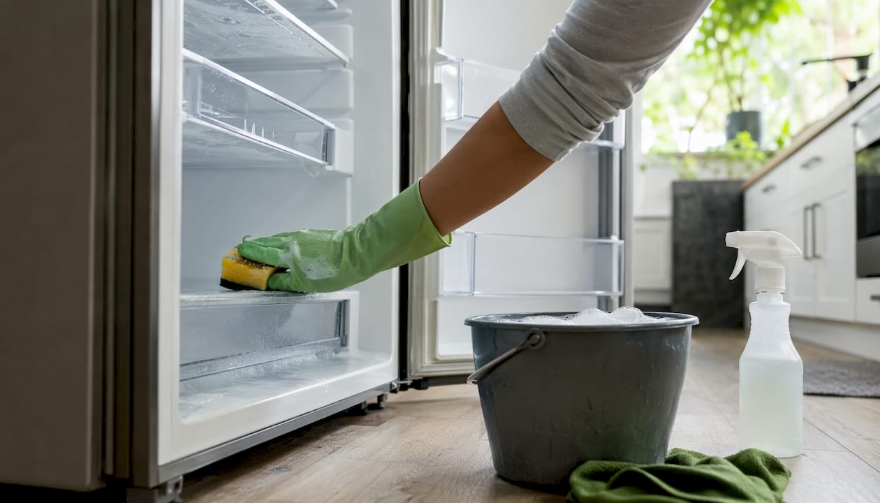 Professional cleaner wiping countertop in apartment