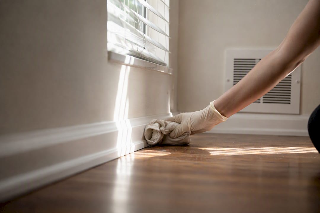 Hands dusting baseboard and blinds