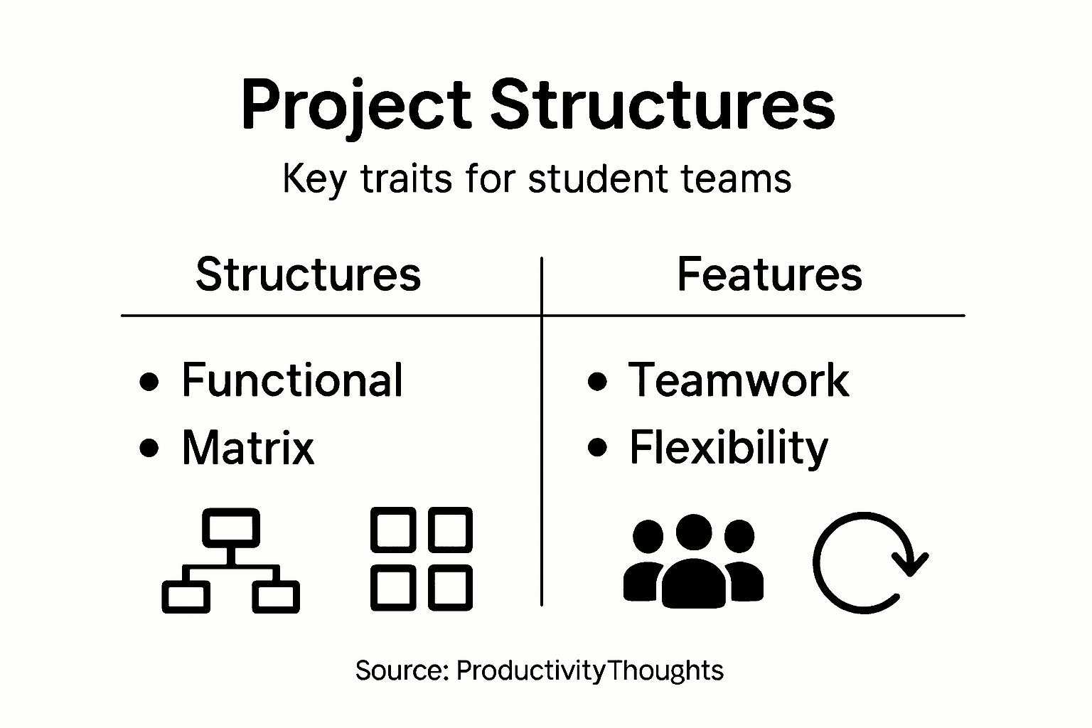 Infographic on project organization structure types