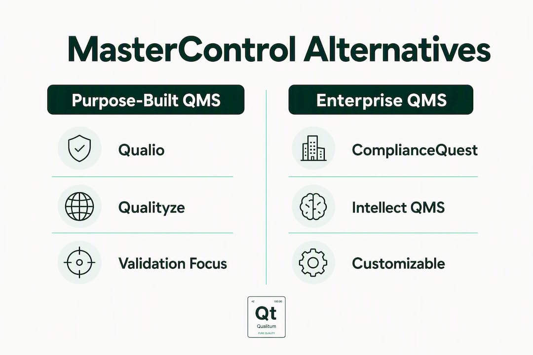 Infographic comparing QMS alternatives categories