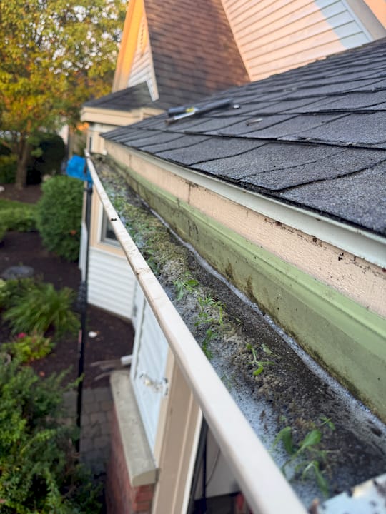 Gutter Cleaning Cost in 2026: What Homeowners Pay
