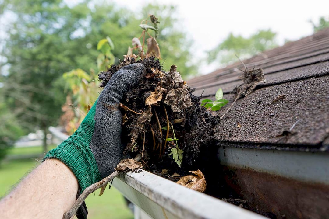Vital Reasons Why You Should Clean Your Gutters