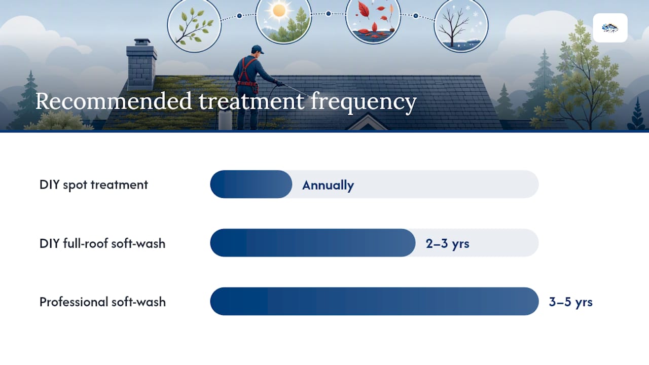 Moss removal treatment timelines and frequency diagram