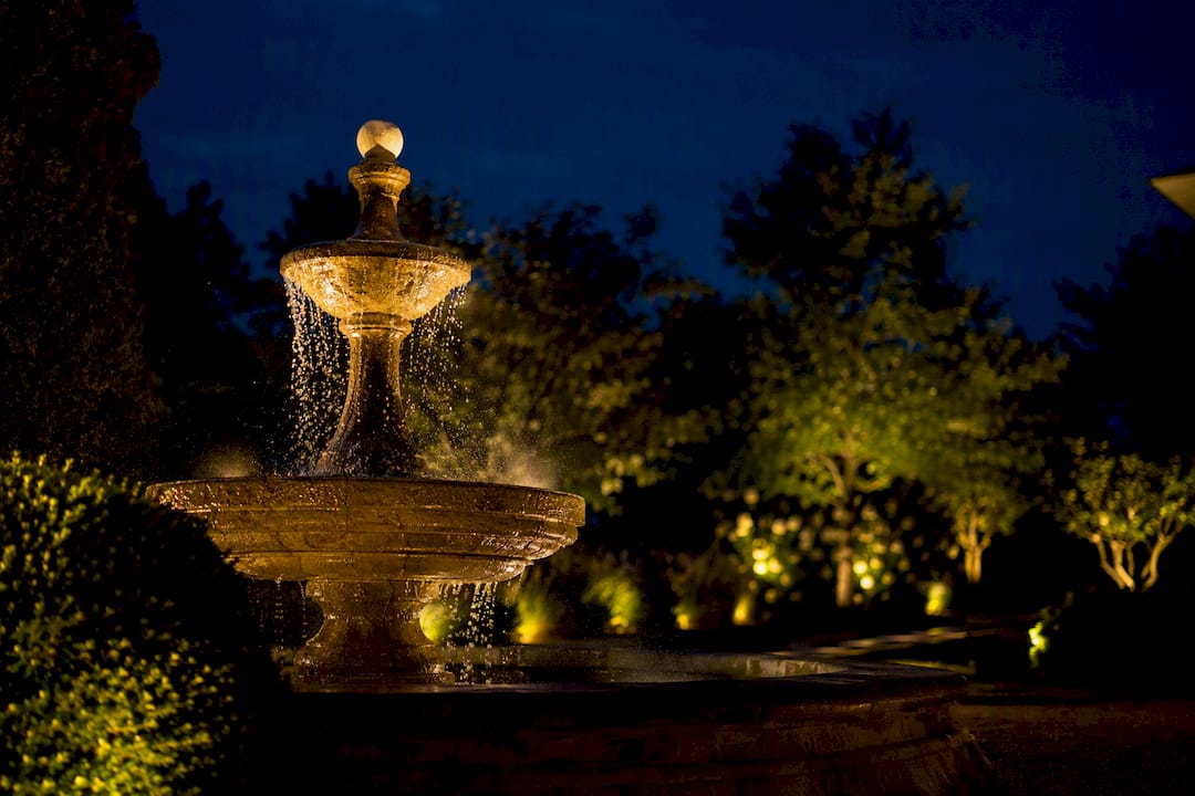 Smooth focused uplighting on garden focal point at night