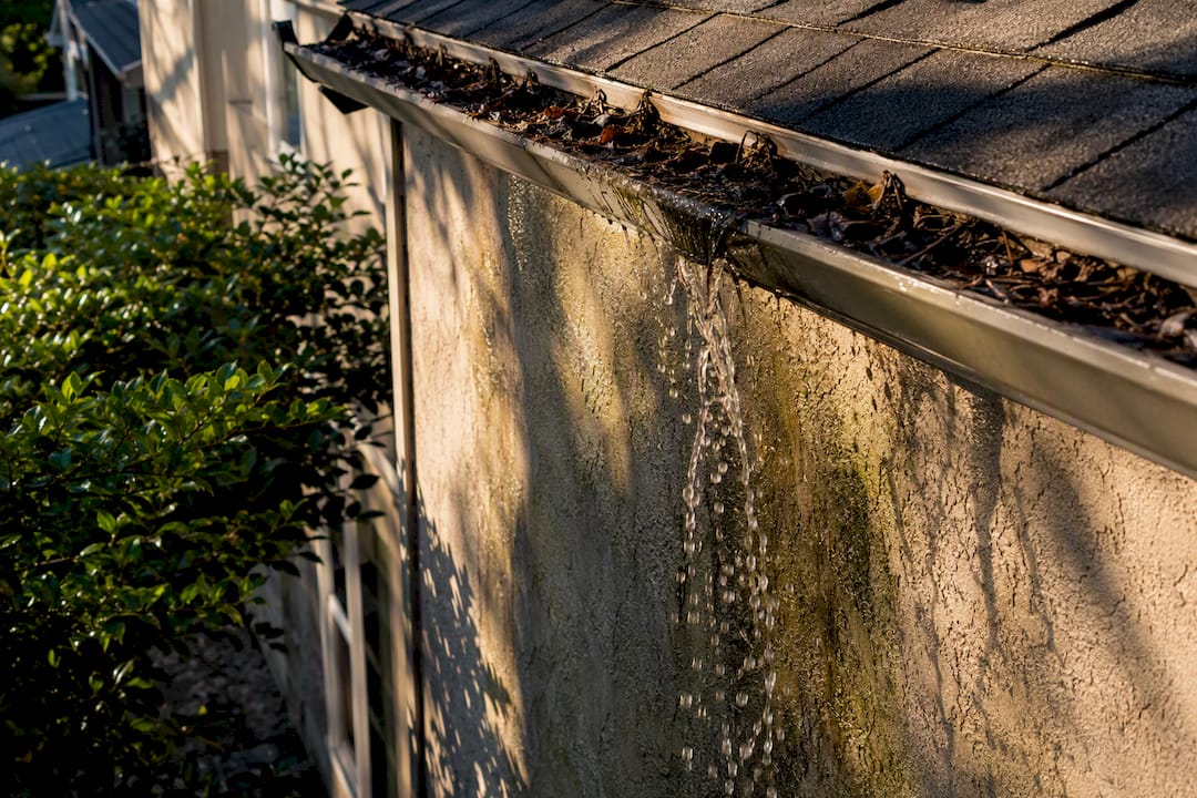 Clogged gutter dripping water on stucco wall