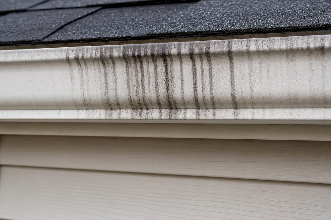 Dark tiger stripes on gutter face
