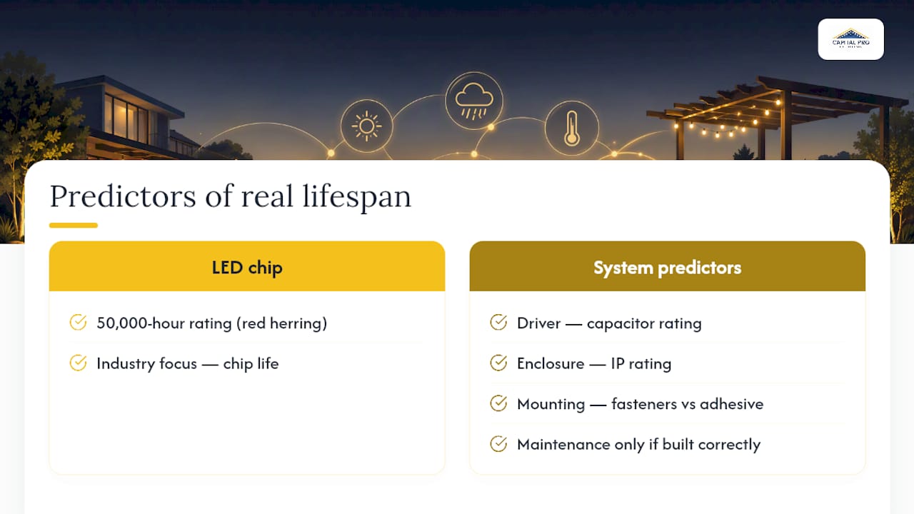 Why Most Lifespan Advice Misses the Point — overview diagram