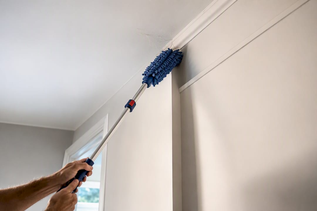 Plumero removiendo telaraña de esquina del techo
