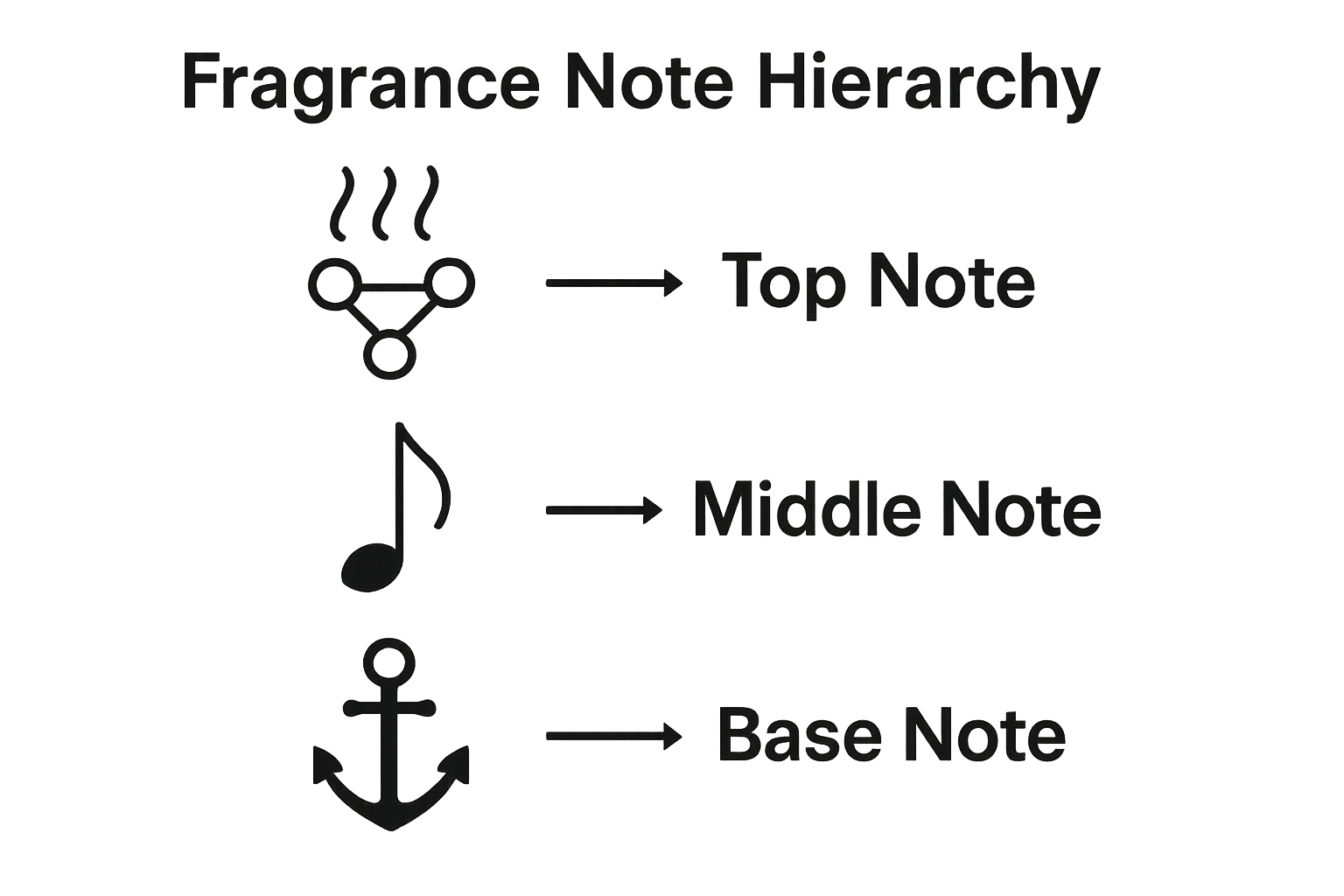 Infographic showing top, middle, and base fragrance notes