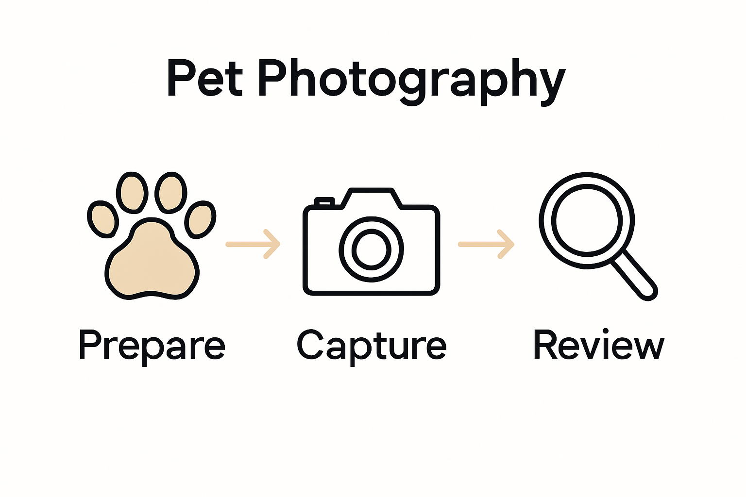 Infographic of three-step pet portrait process