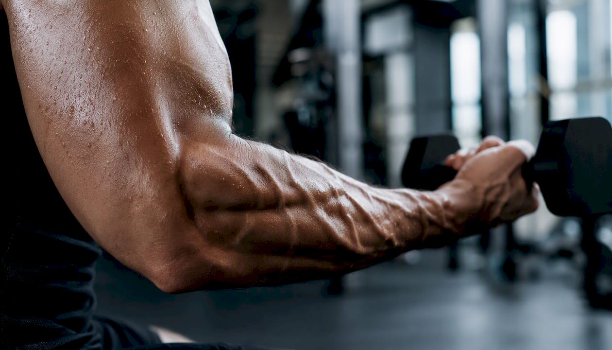 Flexed arm showing muscle contraction and veins
