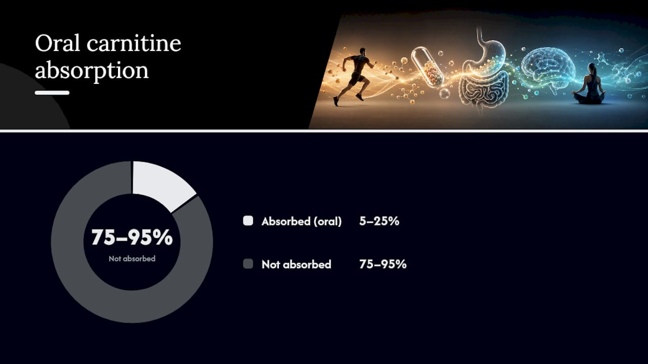 Are There Side Effects or Reasons to Avoid Carnitine Supplements? — overview diagram