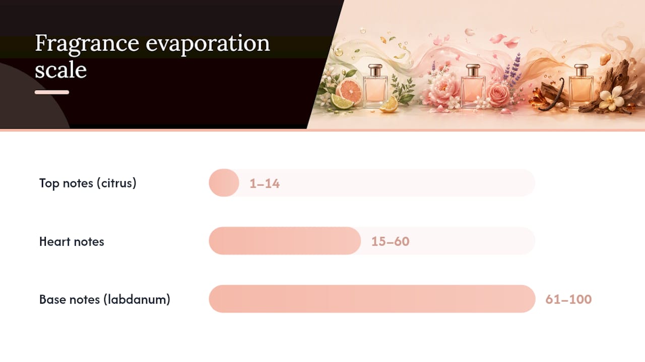 Diagram of fragrance pyramid evaporation rates