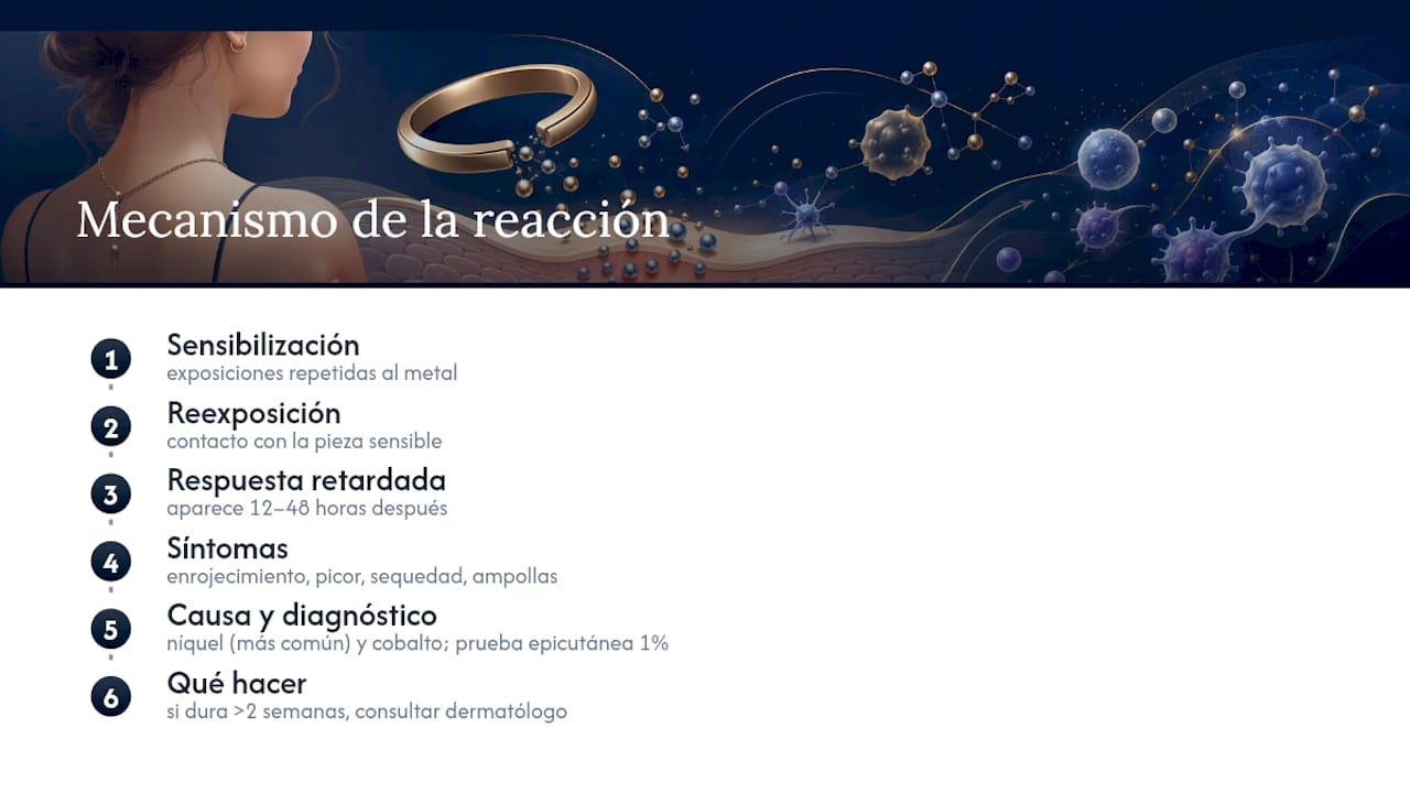 Por qué la piel reacciona: níquel, cobalto y el mecanismo real de la alergia — overview diagram