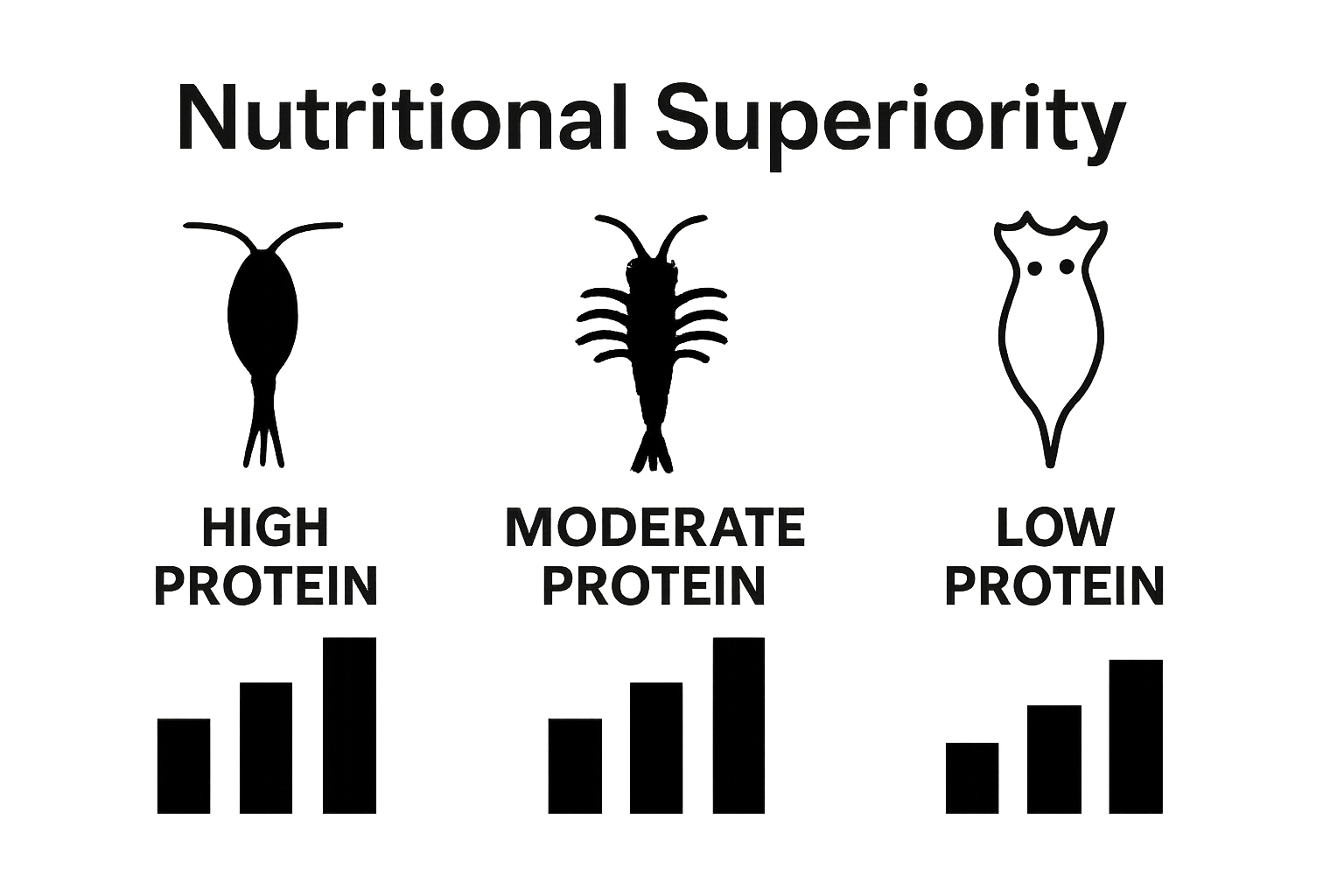 Infographic comparing protein content: copepods, brine shrimp, and rotifers